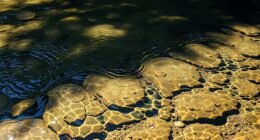 detecting subtle water movements