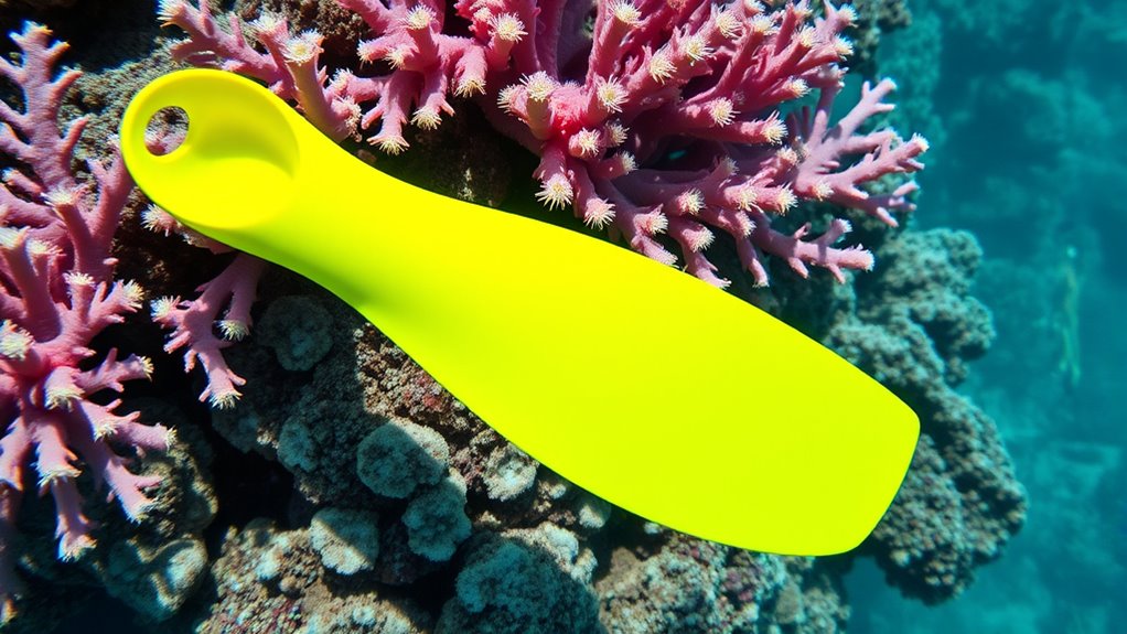 eco friendly fins protect reefs