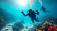 beginner s open water certification
