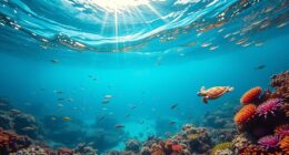 top caribbean snorkeling destinations