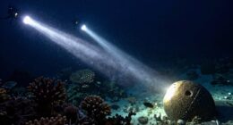 brightness and beam focus