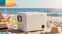 top 12v beach coolers