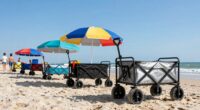 top family beach carts