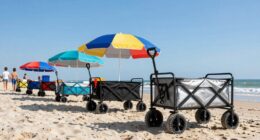 top family beach carts