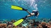 top fins for currents