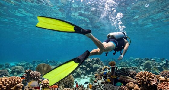 top fins for currents