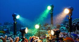 top underwater lighting combos