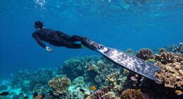 top underwater scooter picks