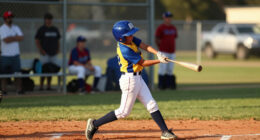 Little League Surges In Global Coverage