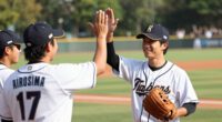 Hiroshima Toyo Carp Wins